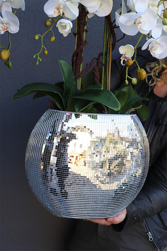 sztuczny storczyk Explosion Oval