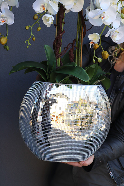 sztuczny storczyk Explosion Oval