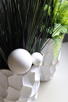 Black Canada, kompozycja z trawami