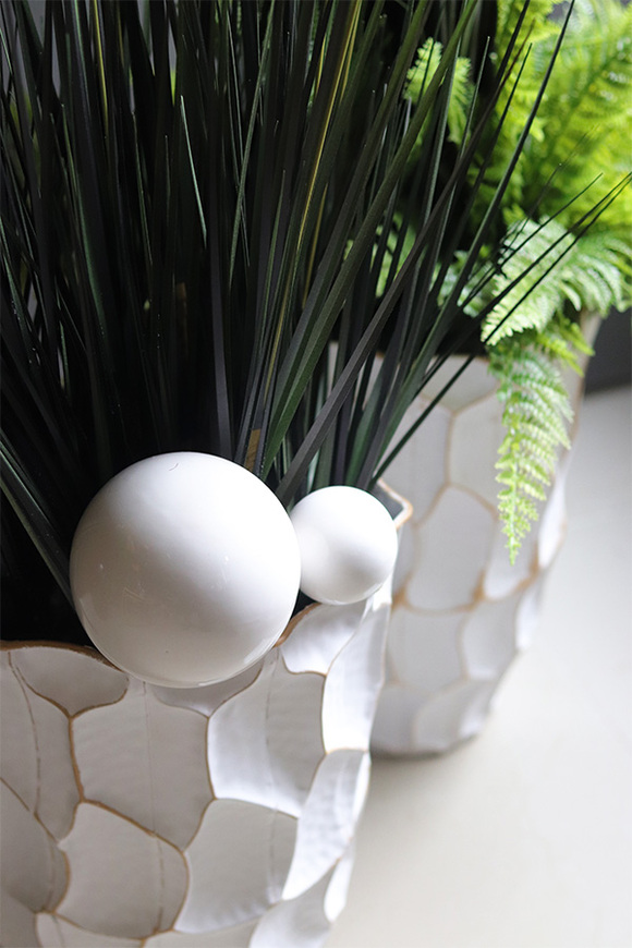 Black Canada, kompozycja z trawami