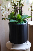 Black Investo, sztuczny storczyk w szarej donicy na stojaku