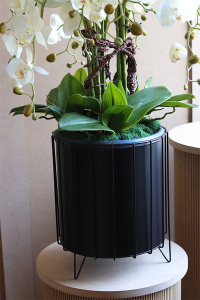 Black Investo, sztuczny storczyk w szarej donicy na stojaku