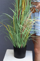 sztuczna trawa Pióropusze, beż, wys.150cm