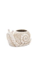  Garden Delight, osłonka ślimak doniczka