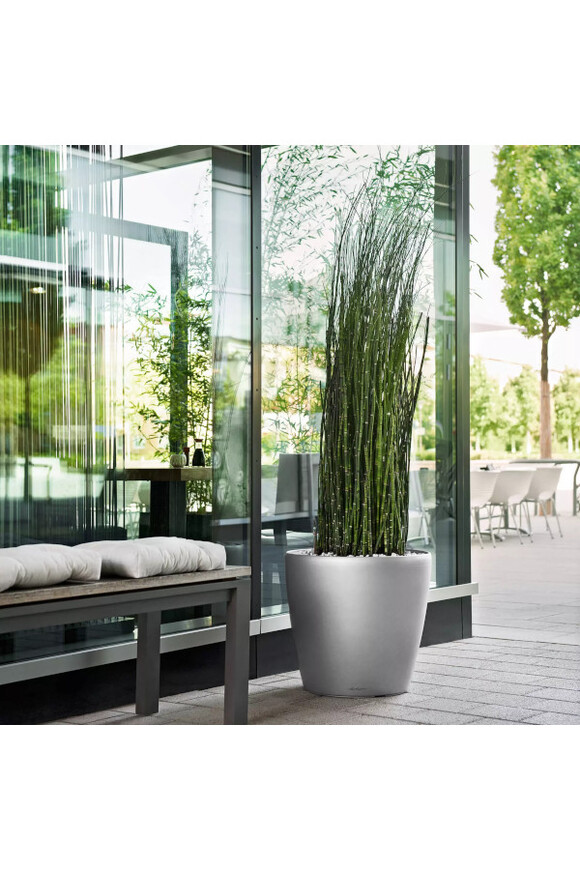 Classico, elegancka donica z nawadnianiem