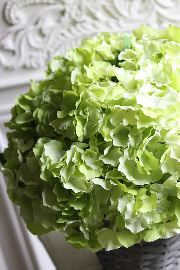 bogaty kosz z hortensjami, Provance Pistacio 2