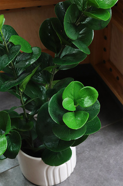 Zamiokulkas Moment, sztuczna roślina w doniczce, wys.65cm