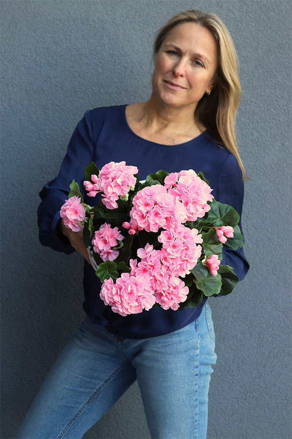 Pink Basket, sztuczne pelargonie w koszu