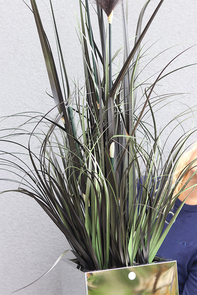 Black Mirror Glamour 2, sztuczna czarna trawa w donicy