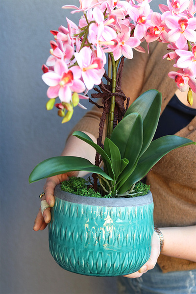 Turkussina, gumowy storczyk w turkusowej donicy