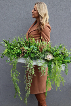 Green Hrefa, kompozycja sukulenty do twojej donicy, wym.20x80cm 