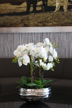 Hotels Deluxe, gumowy storczyk w srebrnej misie, wys.61cm