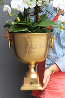 Deluxe Gold, storczyk w złotym pucharze