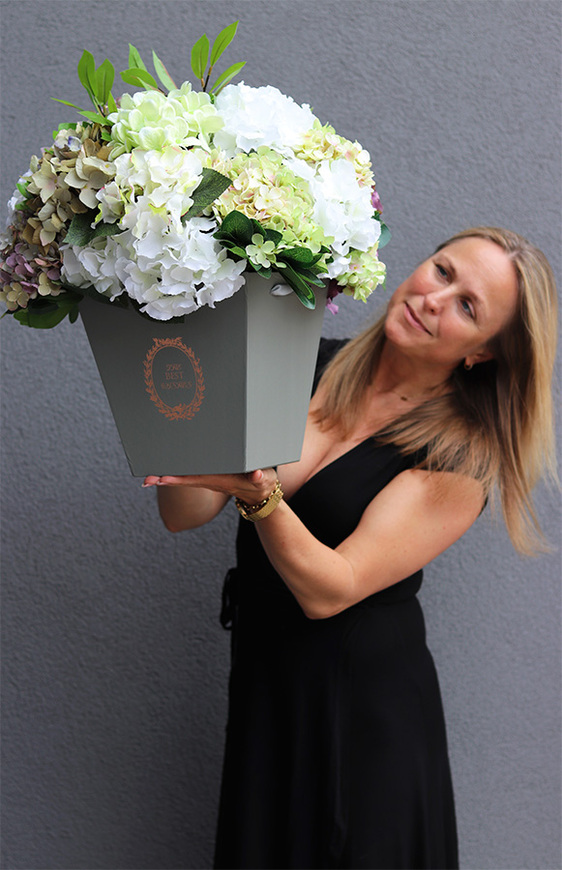 flowerbox z hortensjami, Mediano Hydrangea, wym.54x44cm 