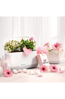 Yula Bag, doniczka z nawadnianiem, szara