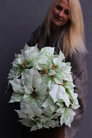 Gwiazda Betlejemska Biel, wysokiej jakości sztuczna roślina