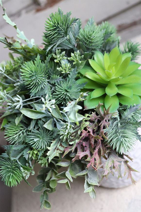 Bedista, kompozycja sukulenty w biało - szarej donicy, wym.29x21cm