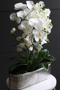 Hillton Silver Long, wysokiej jakości sztuczny storczyk, wys.58cm 