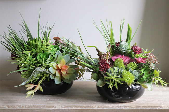 Maria Camino A, kompozycja sukulenty w okrągłej donicy, wym.20x28cm