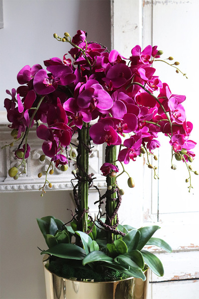 Golderia Fuksja, elegancki storczyk podłogowy w złotej donicy, wys.130cm