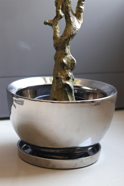 Wisteria Biała Silverita, sztuczna roślina w donicy