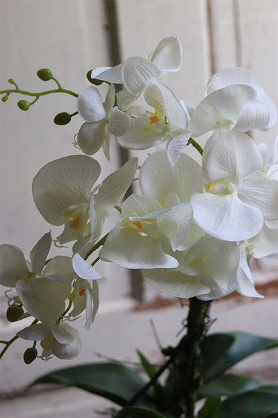 Leas Black, sztuczny storczyk w prostokątnej donicy, wys.58cm