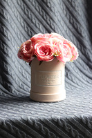 Rosaisa Pink Gerra, welurowy flowerbox z różami