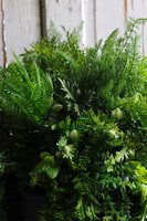 Urundano Fiberglass, kompozycja sukulenty w donicy