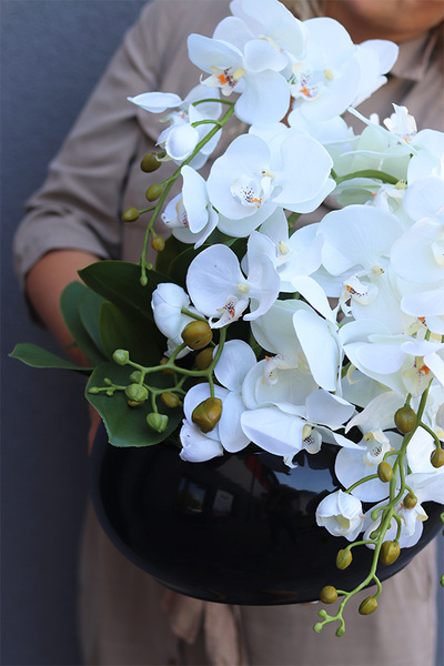 Decoris Piano, storczyk w czarnej donicy