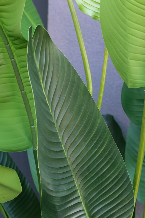 Bananowiec Concrete Ilustria, sztuczna roślina w donicy