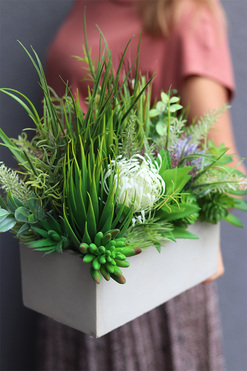 Jedona, kompozycja sukulenty w betonowej donicy, mniejsza, wym.28x24cm 