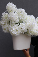 Biała Hortensja, kompozycja kwiatowa z białych kwiatów