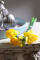 bukiet silikonowych wiosennych żonkili