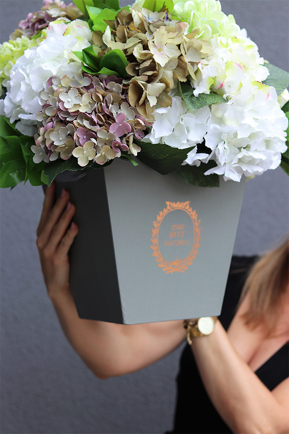 flowerbox z hortensjami, Mediano Hydrangea, wym.54x44cm 