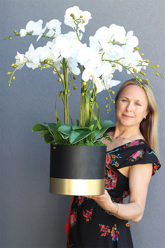 Blackisto Goldino D, elegancki storczyk w czarno-złotej donicy, wys.72cm