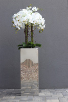 Moderno Mirror Galente, storczyk w metalowej donicy