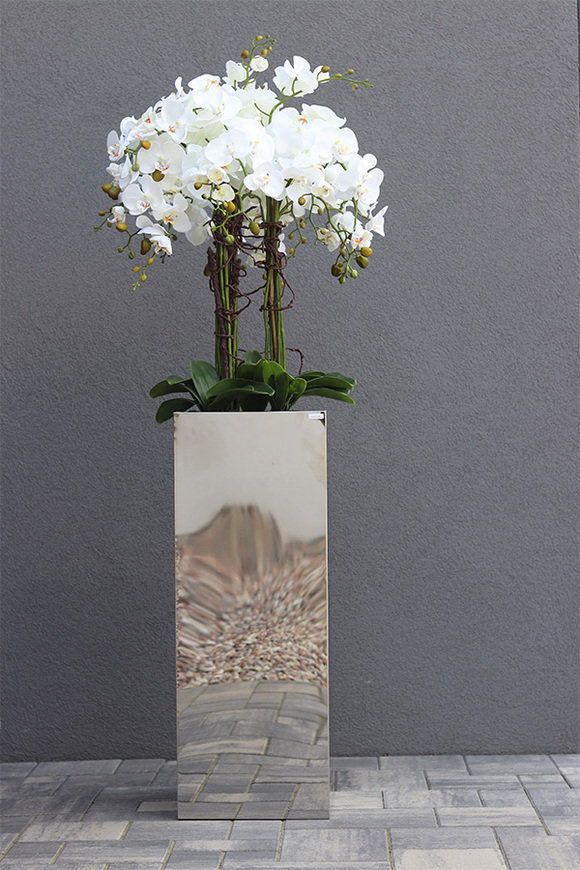 Moderno Mirror Galente, storczyk w metalowej donicy