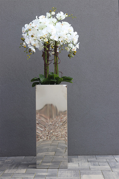 Moderno Mirror Galente, storczyk w metalowej donicy