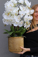 Hillton Gold Tall, sztuczny storczyk w złotej donicy