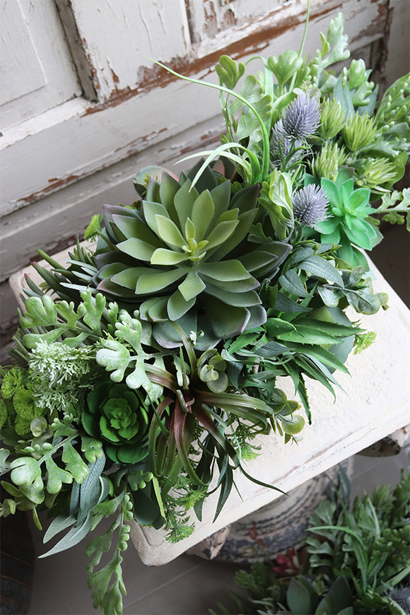 kompozycja Sukulenty do twojej donicy, Ocean Manfista, wym.25x65x28cm