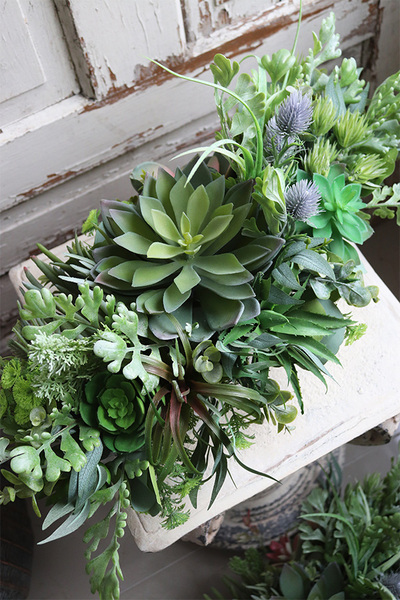 kompozycja Sukulenty do twojej donicy, Ocean Manfista, wym.25x65x28cm