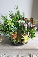 Maria Camino B, kompozycja sukulenty w okrągłej donicy, wym.20x28cm