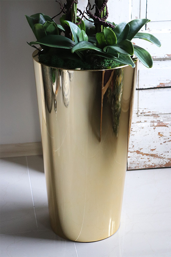 Golderia Fuksja, elegancki storczyk podłogowy w złotej donicy, wys.130cm