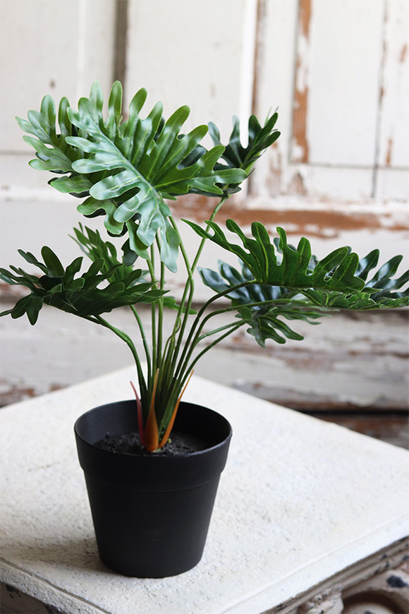 doniczkowy Filodendron, wysokiej jakości sztuczna roślina, wys.30cm