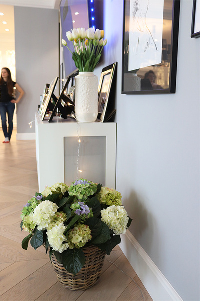 bogaty kosz hortensji, Eveline Blue Provance