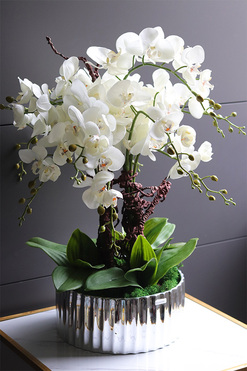 Nullina Silver Tresta, sztuczny storczyk w lustrzanej misie, wys.69cm