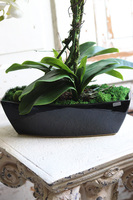 Leas Black, sztuczny storczyk w prostokątnej donicy, wys.58cm