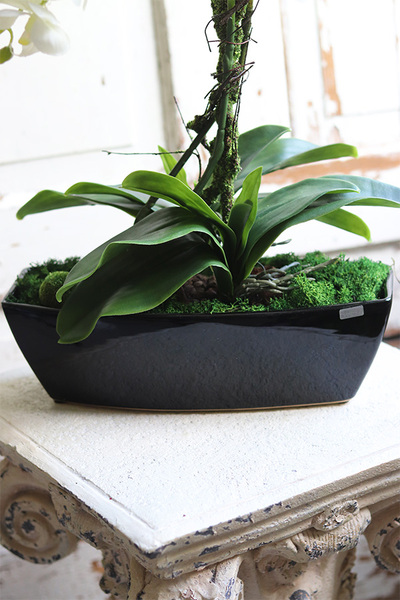 Leas Black, sztuczny storczyk w prostokątnej donicy, wys.58cm