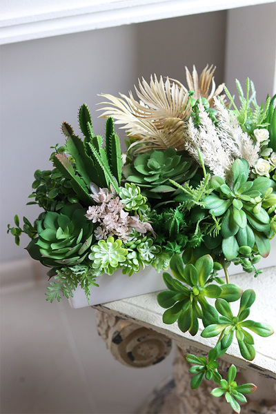 Beige Longia, kompozycja sukulenty w długiej donicy