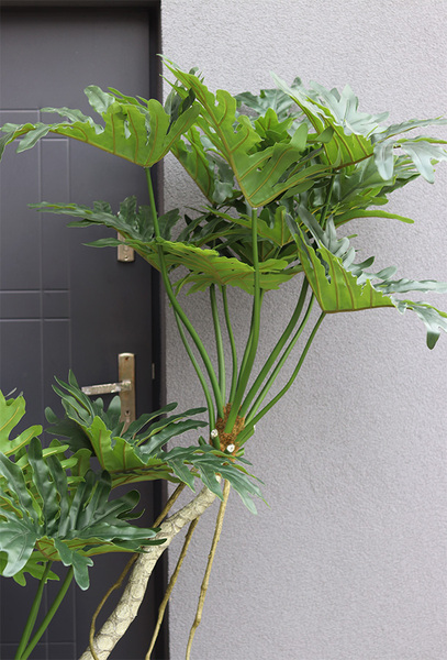 Filodendron Bellis, drzewko sztuczne w donicy